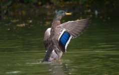 DSC_5844.jpg