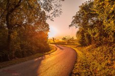 Foggy Sunrise-8316.jpg