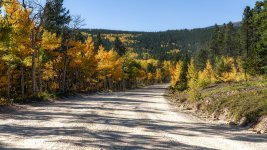 Colorado Fall Colors.--2.jpg