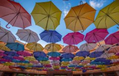 Umbrellas 2.jpg
