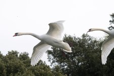 DSC_6096.jpg