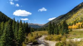 Colorado Fall colors.- (2).jpg