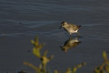 9-19-17-cr_D7K7594.jpg