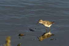 9-19-17-cr_D7K7595.jpg