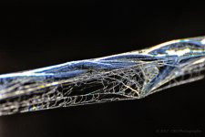 9-26-17-cr__D7K7657.jpg