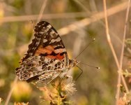 9-30-17-cr__D7K7689.jpg