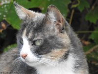 DSCN2560.jpg