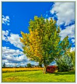 1-DSC_9017-Pano-Edit.jpg