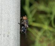 DSC_8928.jpg