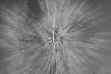 untitled 0003 zpm.jpg