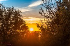 Dawn 20171004-8443.jpg