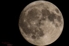 Moon Shadow 20171004-2585.jpg