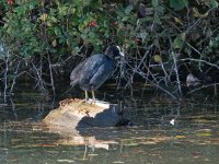 DSC_6314.jpg