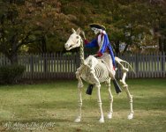 DSC_4490 low res.jpg