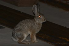 10-3-17-cr__D7K7696.jpg