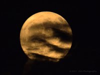 10-4-17-cr__D7K7706.jpg