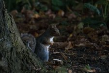 DSC_6298.jpg