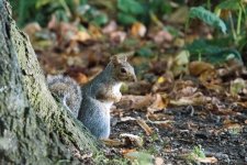 DSC_6298PS.jpg