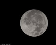 _DSC7696.jpg