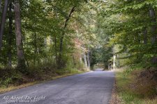 DSC_4469 low res.jpg