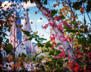10-07-17 Kelby Walk   (1 of 1)-11_01.JPG