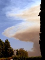 Fire2.jpg