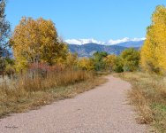 Fall-201.jpg