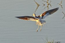10-9-17-cr__D7K7757.jpg
