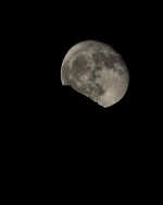 W_DSC_9978.jpg