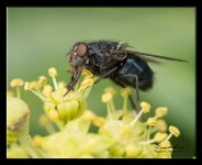 W_DSC_0074.jpg