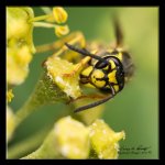 W_DSC_0060.jpg