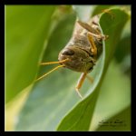W_DSC_0034.jpg