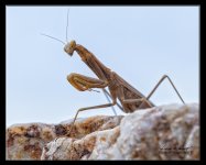 W_DSC_0170.jpg