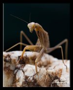 W_DSC_0188.jpg