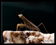 W_DSC_0204.jpg