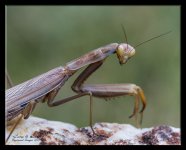 W_DSC_0206.jpg