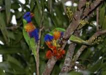 DSC_3446.jpg