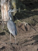 DSC_6519.jpg