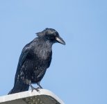 DSC_6548.jpg