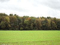 PA110161.jpg