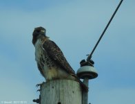 DSCN2614.jpg