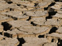 LakeBed.jpg