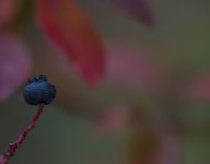 DSC_1548.jpg