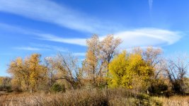 Fall-222.jpg