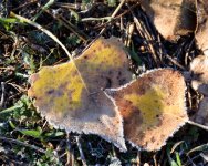 Fall-224.jpg