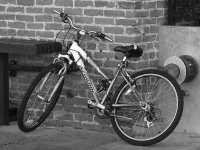 Bike.jpg