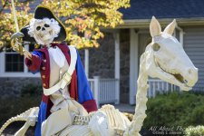 DSC_4522 low res.jpg