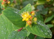 DSC_9109.jpg