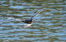 DSC_6641.jpg