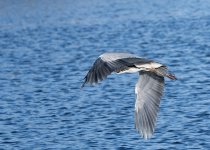 DSC_6691.jpg
